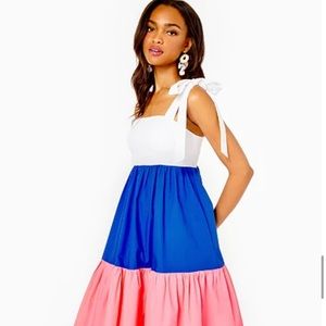 Anlee Midi Dress-Lilly Pulitzer dress